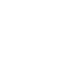 DLBOX Logo